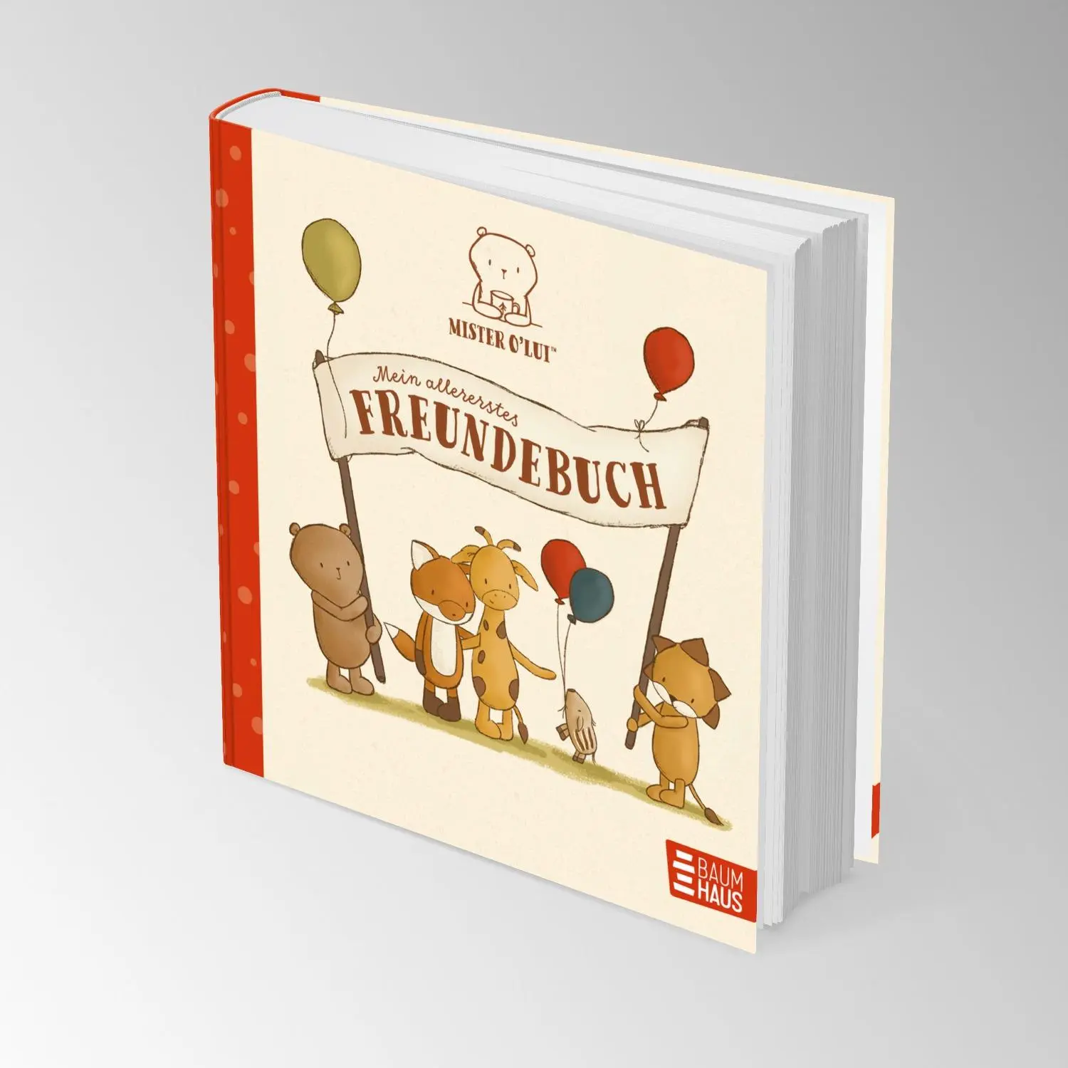 Bild: 9783833909566 | Mister O'Lui - Mein allererstes Freundebuch | Silke Siefert | Buch