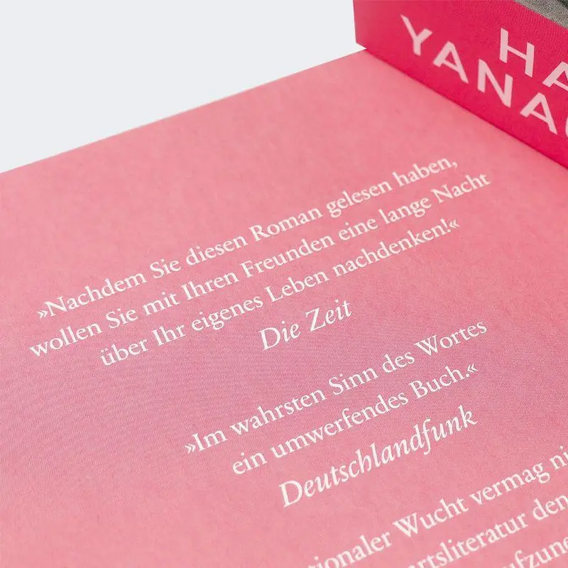 Bild: 9783446289666 | Ein wenig Leben | Roman | Hanya Yanagihara | Taschenbuch | 960 S.