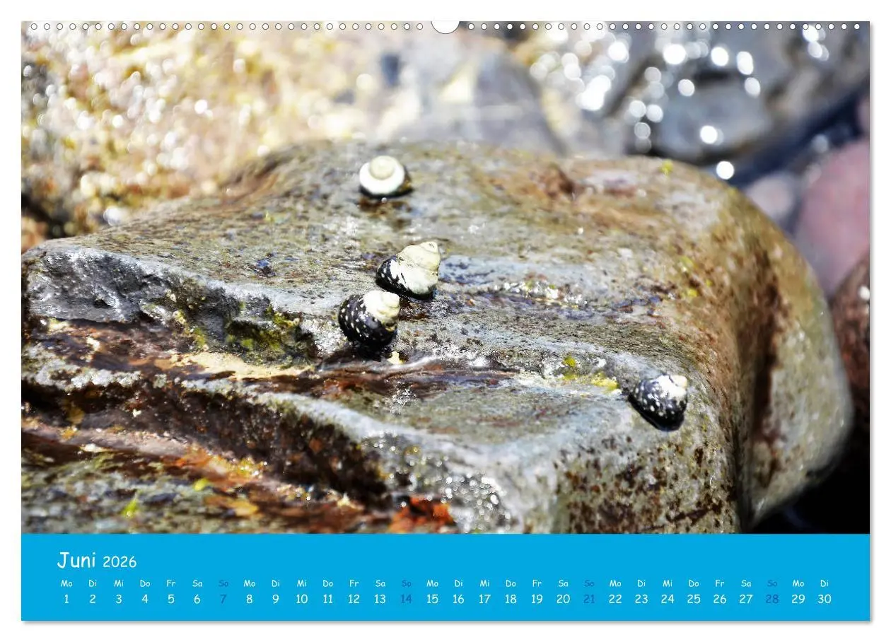 Bild: 9783457799666 | Cabo verde Inselgeflüster - Ilha do Sal (Wandkalender 2026 DIN A2...