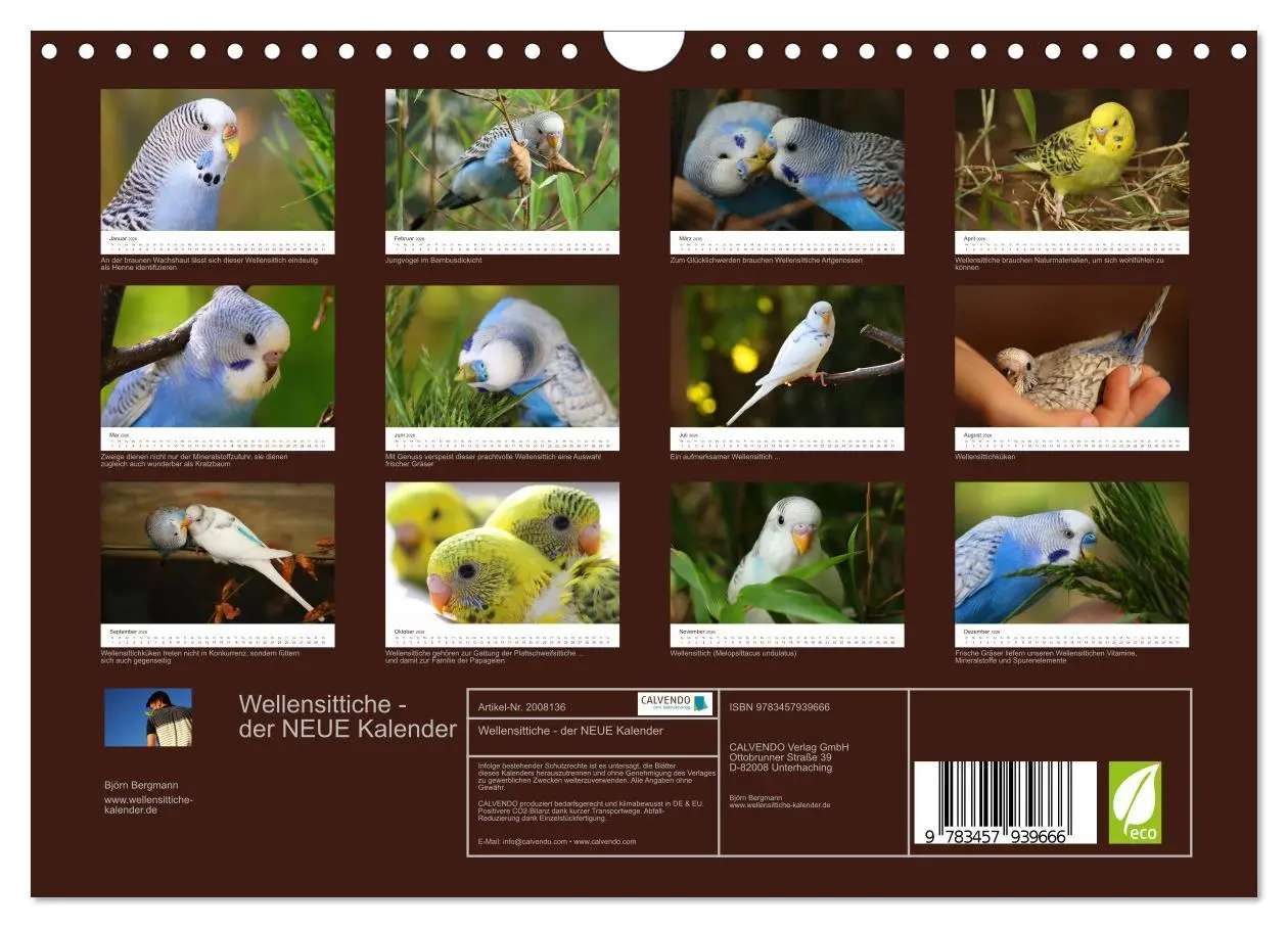 Bild: 9783457939666 | Wellensittiche - der NEUE Kalender (Wandkalender 2026 DIN A4 quer),...