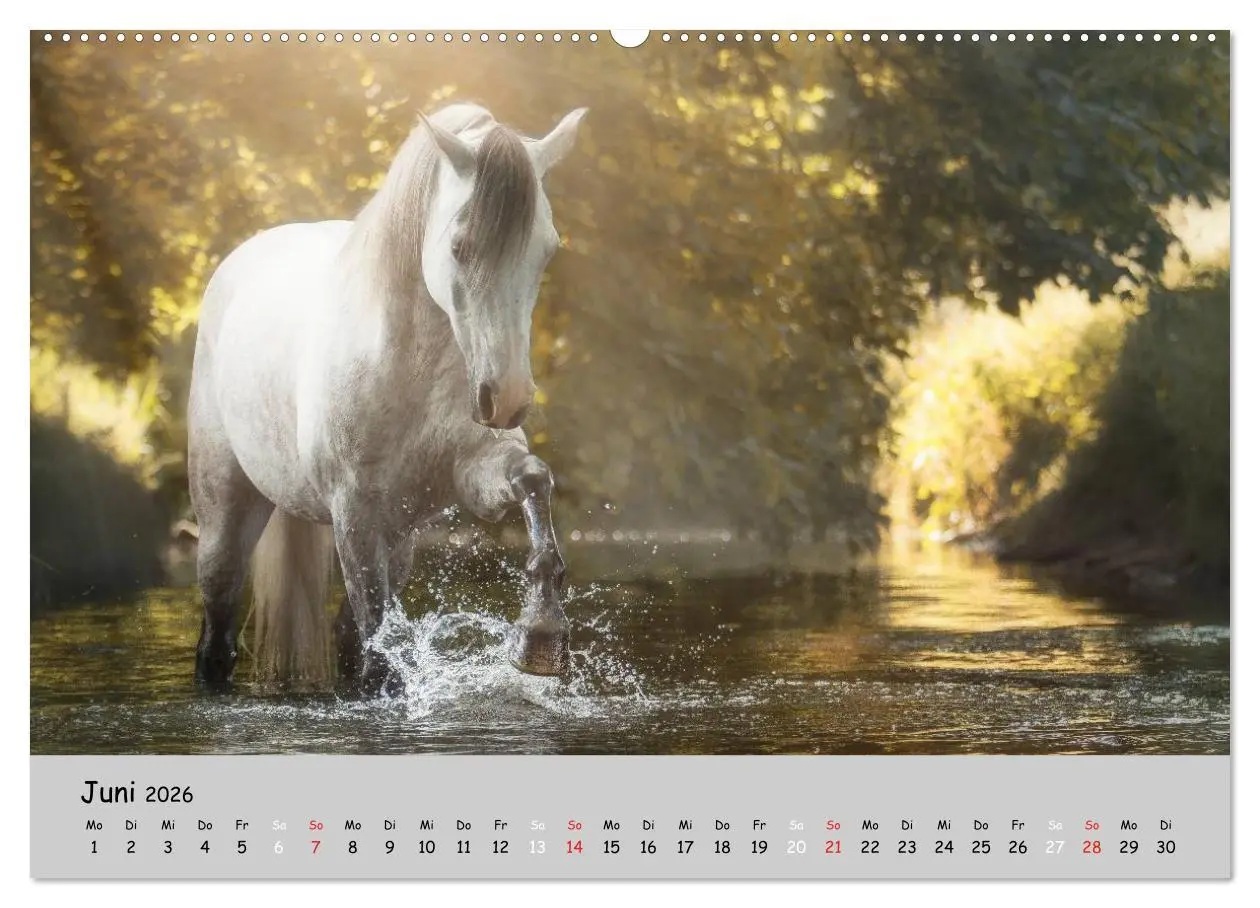 Bild: 9783516019766 | Pferde - Anmut und Stärke gepaart mit Magie (hochwertiger Premium...