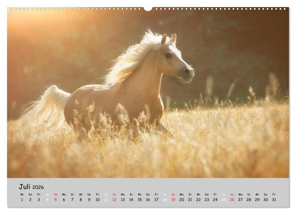 Bild: 9783516019766 | Pferde - Anmut und Stärke gepaart mit Magie (hochwertiger Premium...