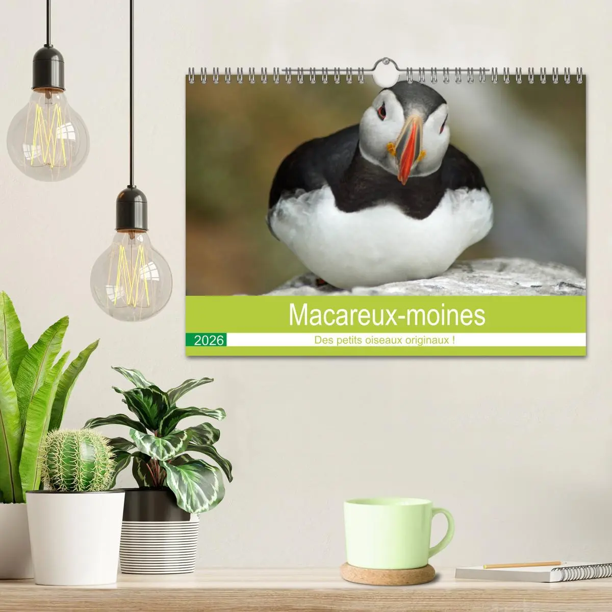 Bild: 9783516559866 | Macareux-moines Des petits oiseaux originaux! (Calendrier mural...