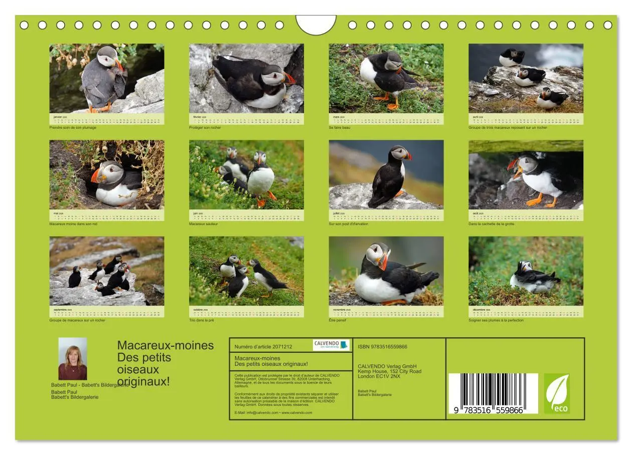 Bild: 9783516559866 | Macareux-moines Des petits oiseaux originaux! (Calendrier mural...