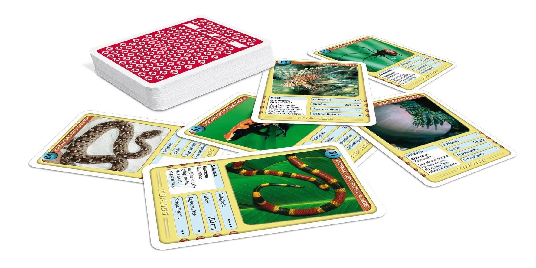 Bild: 4042677719966 | TOP ASS - Giftige Tiere | Spielkartenfabrik Altenburg GmbH | Spiel