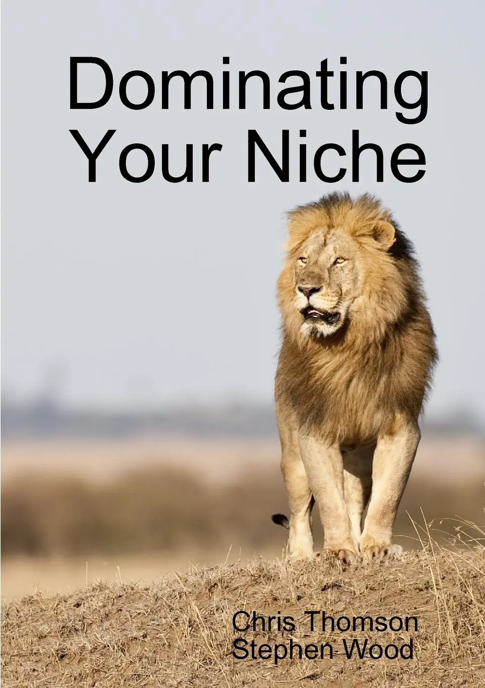Cover: 9781326429966 | Dominating Your Niche | Chris Thomson (u. a.) | Taschenbuch | Englisch