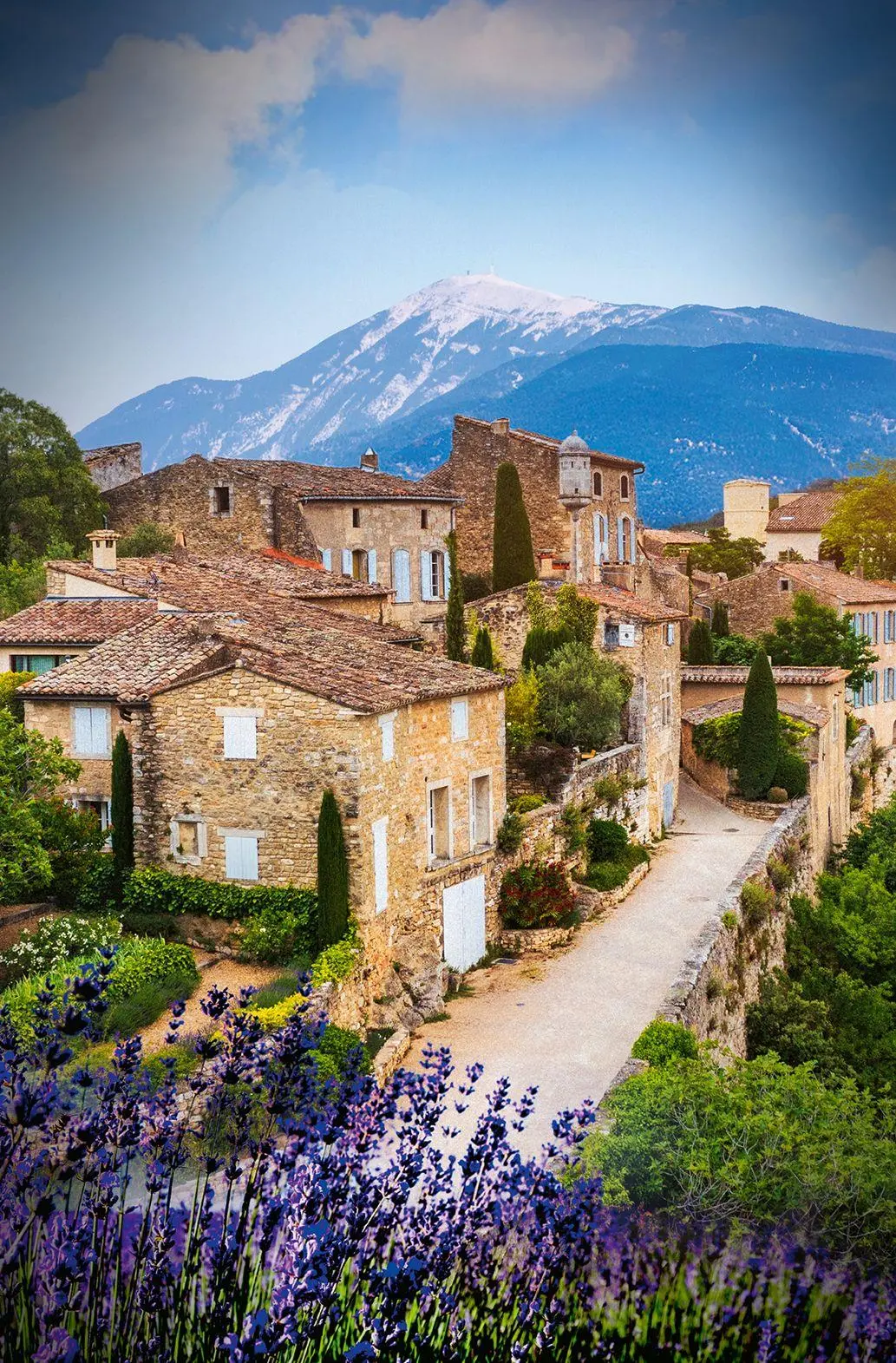 Bild: 9783426529966 | Madame le Commissaire und die tödliche Rallye | Ein Provence-Krimi