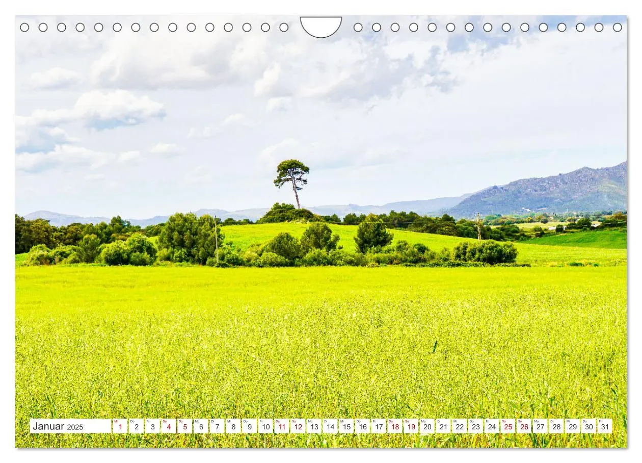Bild: 9783435059966 | Mallorca Meine Liebe (Wandkalender 2025 DIN A4 quer), CALVENDO...