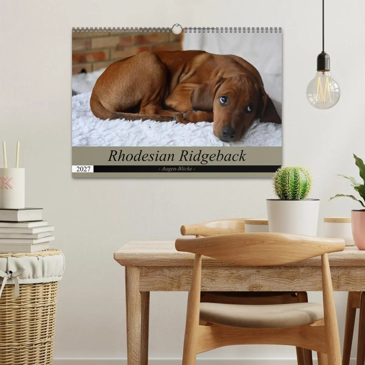 Bild: 9783569680067 | Rhodesian Ridgeback Augen-Blicke (Wandkalender 2027 DIN A3 quer),...