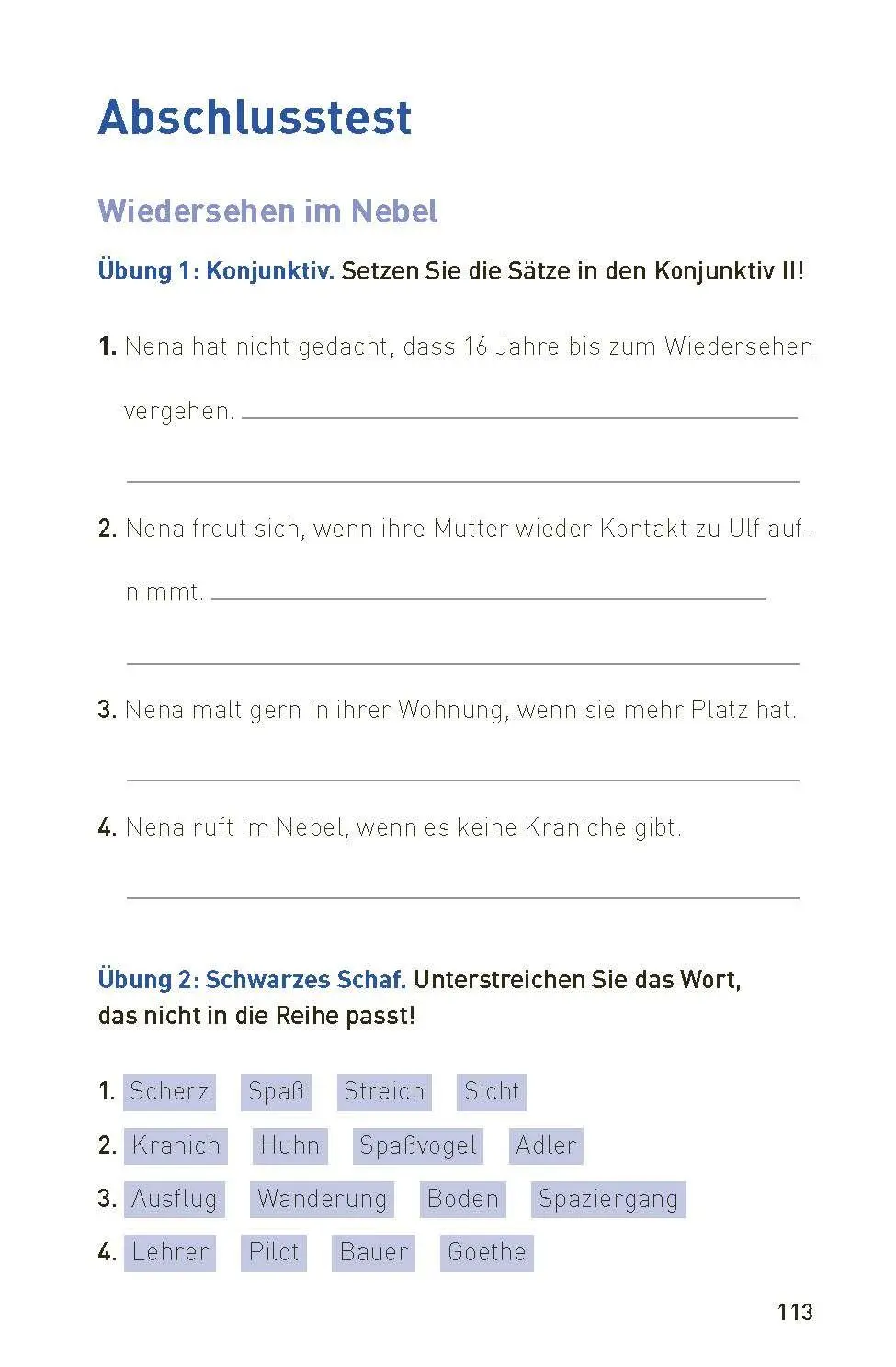 Bild: 9783790100167 | Wiedersehen im Nebel | DaF B1 | Claudia Peter (u. a.) | Taschenbuch