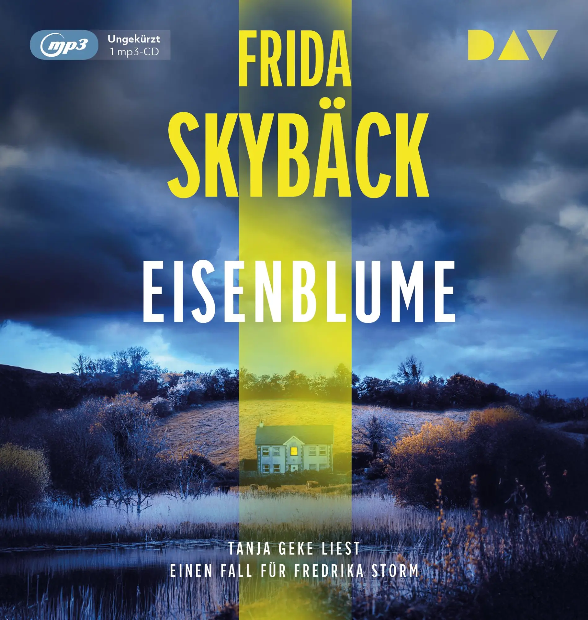 Cover: 9783742430267 | Eisenblume. Ein Fall für Fredrika Storm | Frida Skybäck | MP3 | 1 CD
