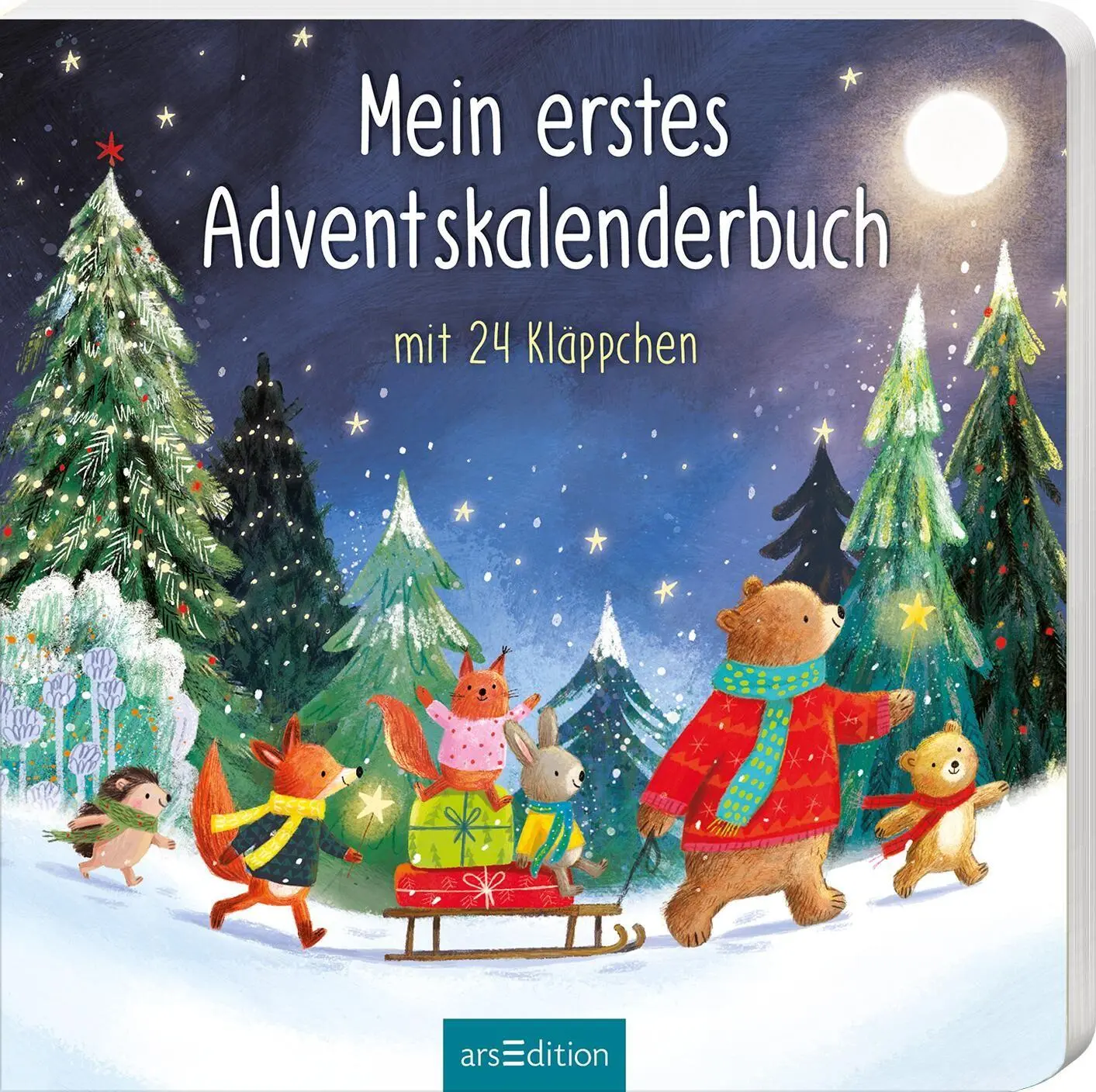 Cover: 9783845870267 | Mein erstes Adventskalenderbuch | Mit 24 Kläppchen | Maria Höck | Buch