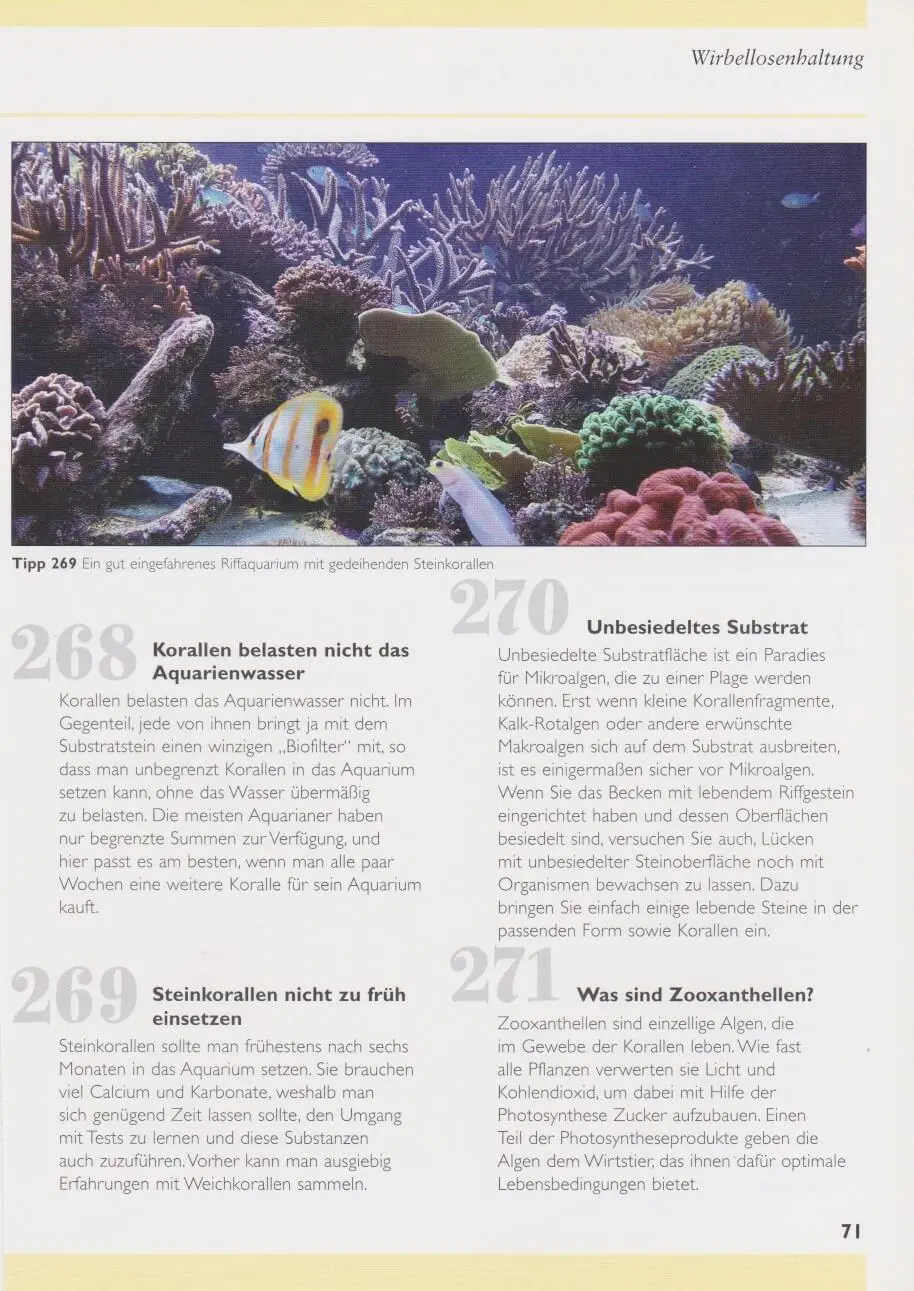 Bild: 9783866590267 | 500 Tipps und Tricks zur Meerwasser-Aquaristik | Dave Garratt (u. a.)