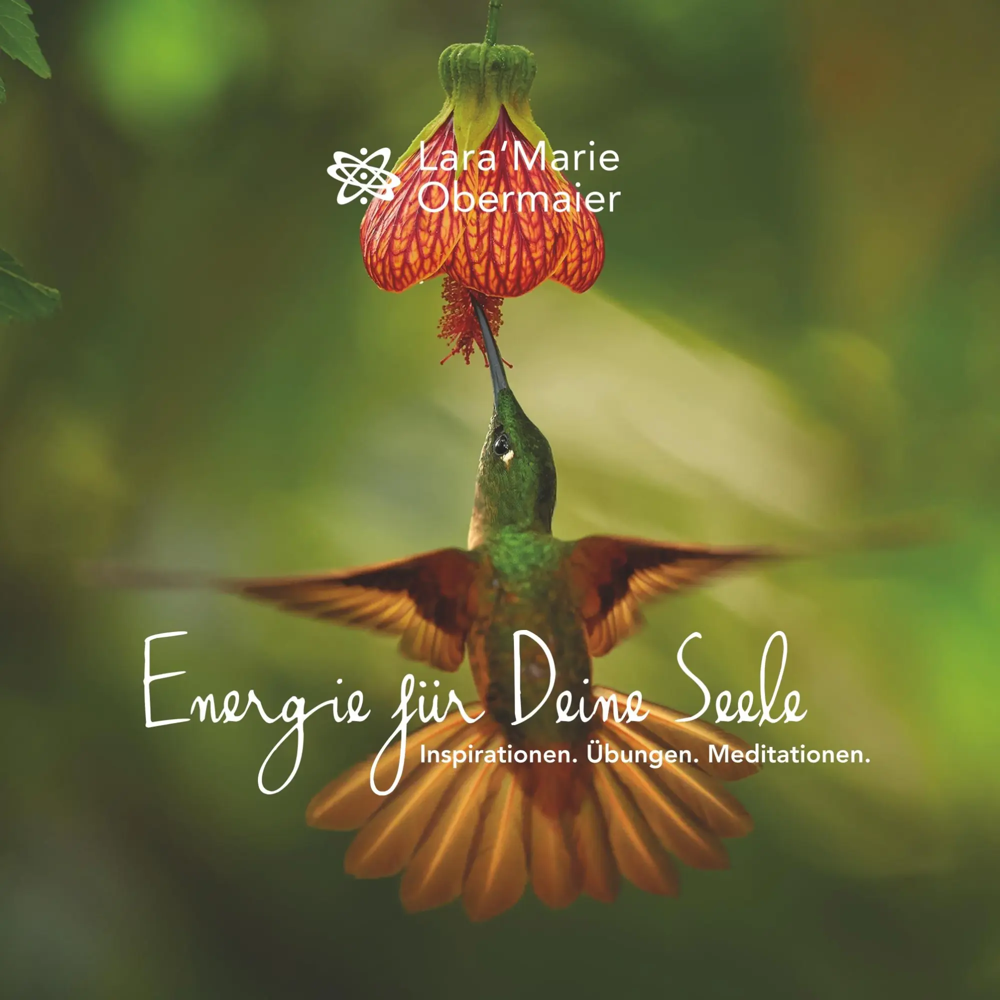 Cover: 9783750410367 | Energie für Deine Seele | Inspirationen. Übungen. Meditationen. | Buch
