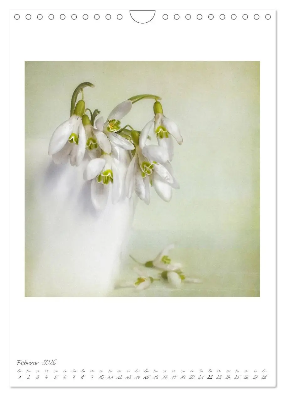 Bild: 9783516480467 | Flower Dreams (Wandkalender 2026 DIN A4 hoch), CALVENDO Monatskalender