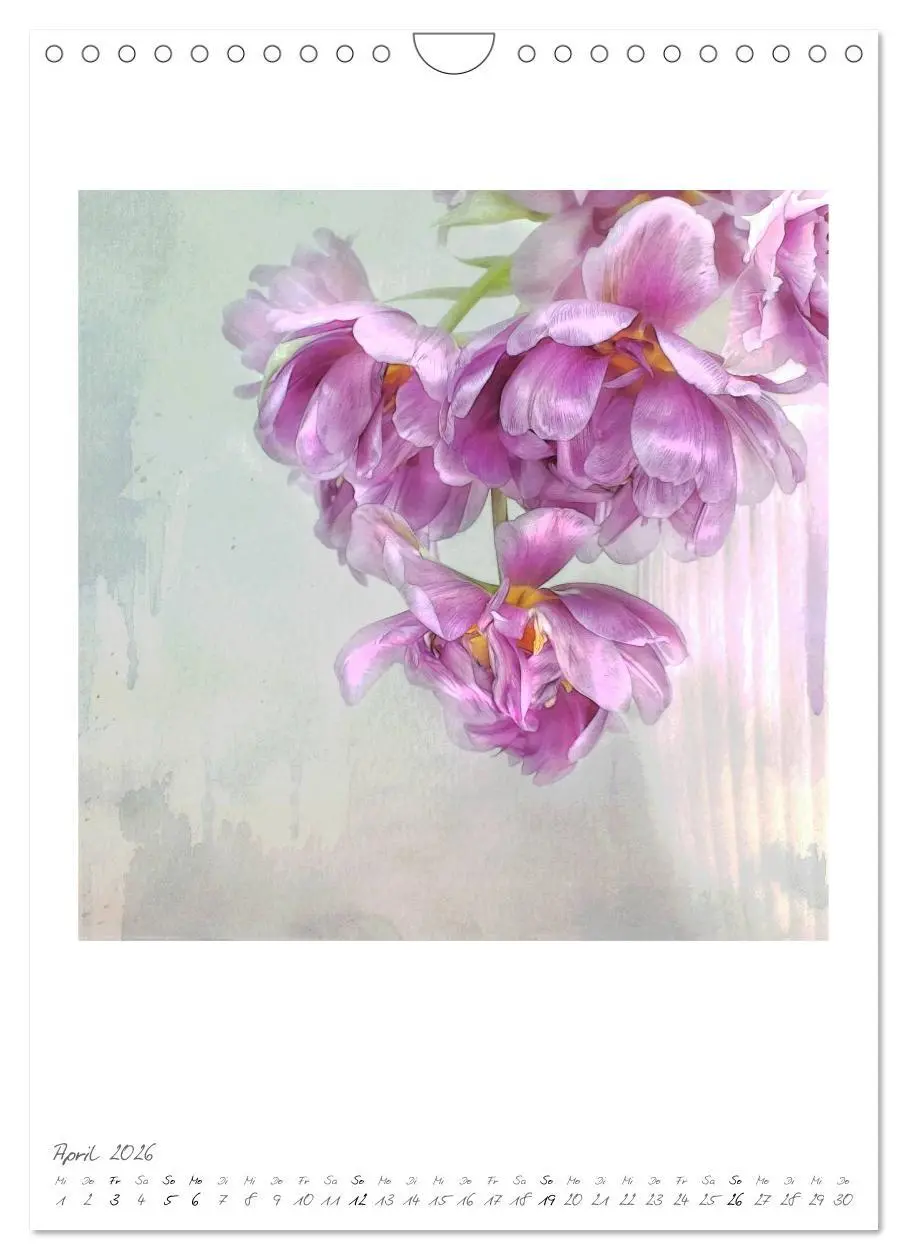 Bild: 9783516480467 | Flower Dreams (Wandkalender 2026 DIN A4 hoch), CALVENDO Monatskalender