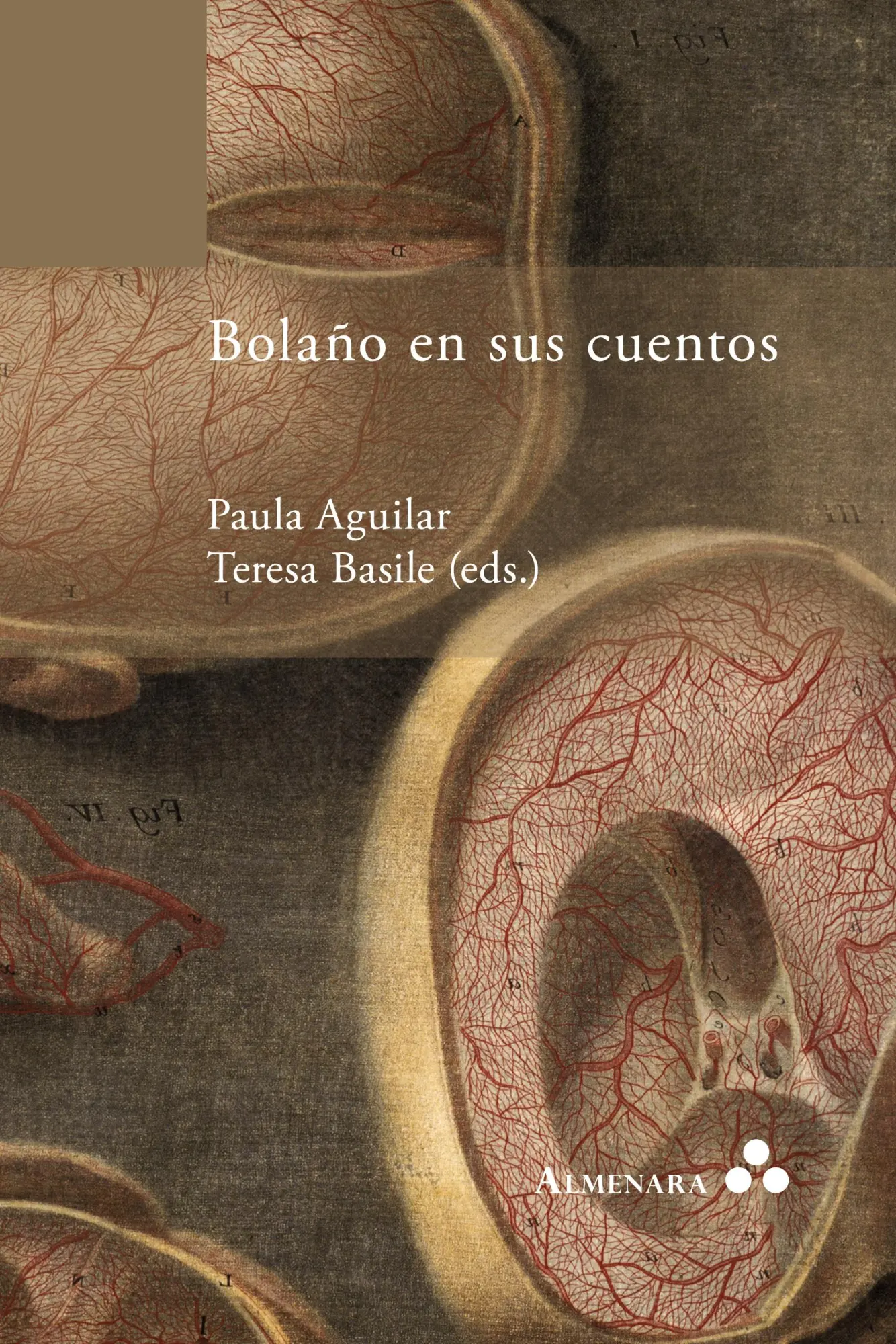 Cover: 9789082240467 | Bolaño en sus cuentos | Paula Aguilar (u. a.) | Taschenbuch | Spanisch