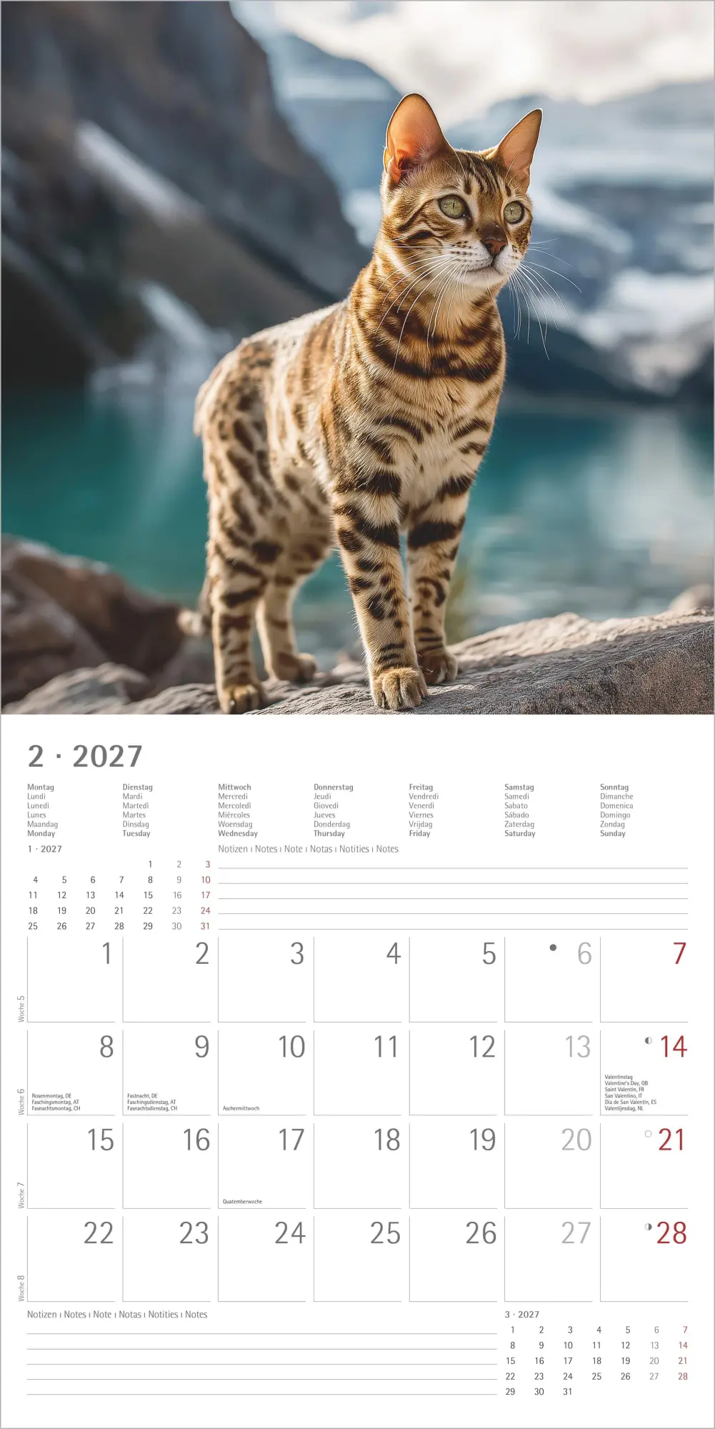 Bild: 4069095010567 | Katzen 2027 | Neumann Verlage GmbH &amp; Co KG | Kalender | 14 S. | 2027
