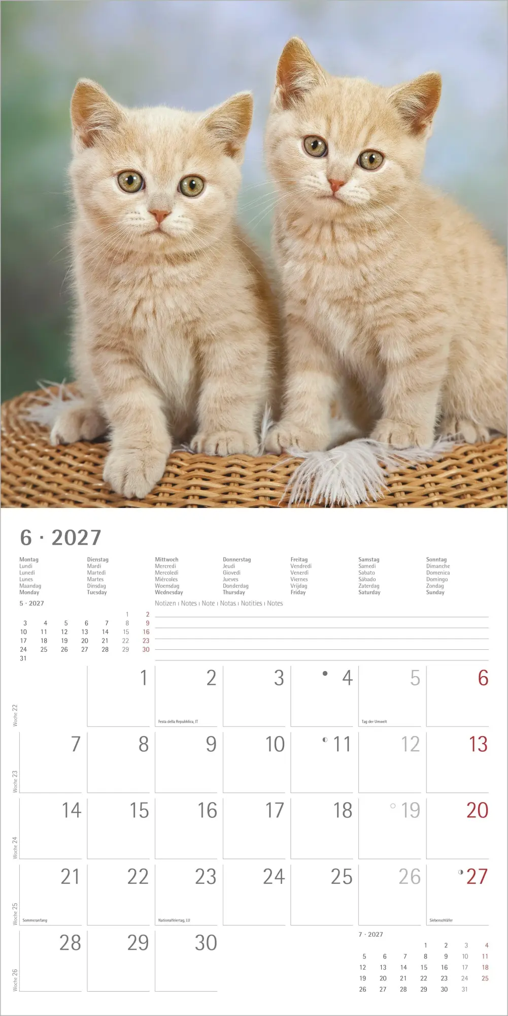 Bild: 4069095010567 | Katzen 2027 | Neumann Verlage GmbH &amp; Co KG | Kalender | 14 S. | 2027