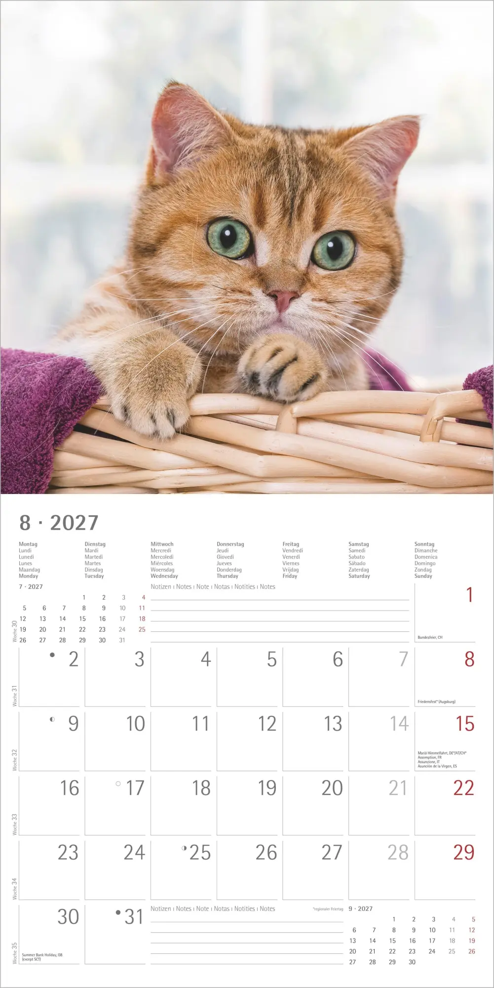 Bild: 4069095010567 | Katzen 2027 | Neumann Verlage GmbH &amp; Co KG | Kalender | 14 S. | 2027