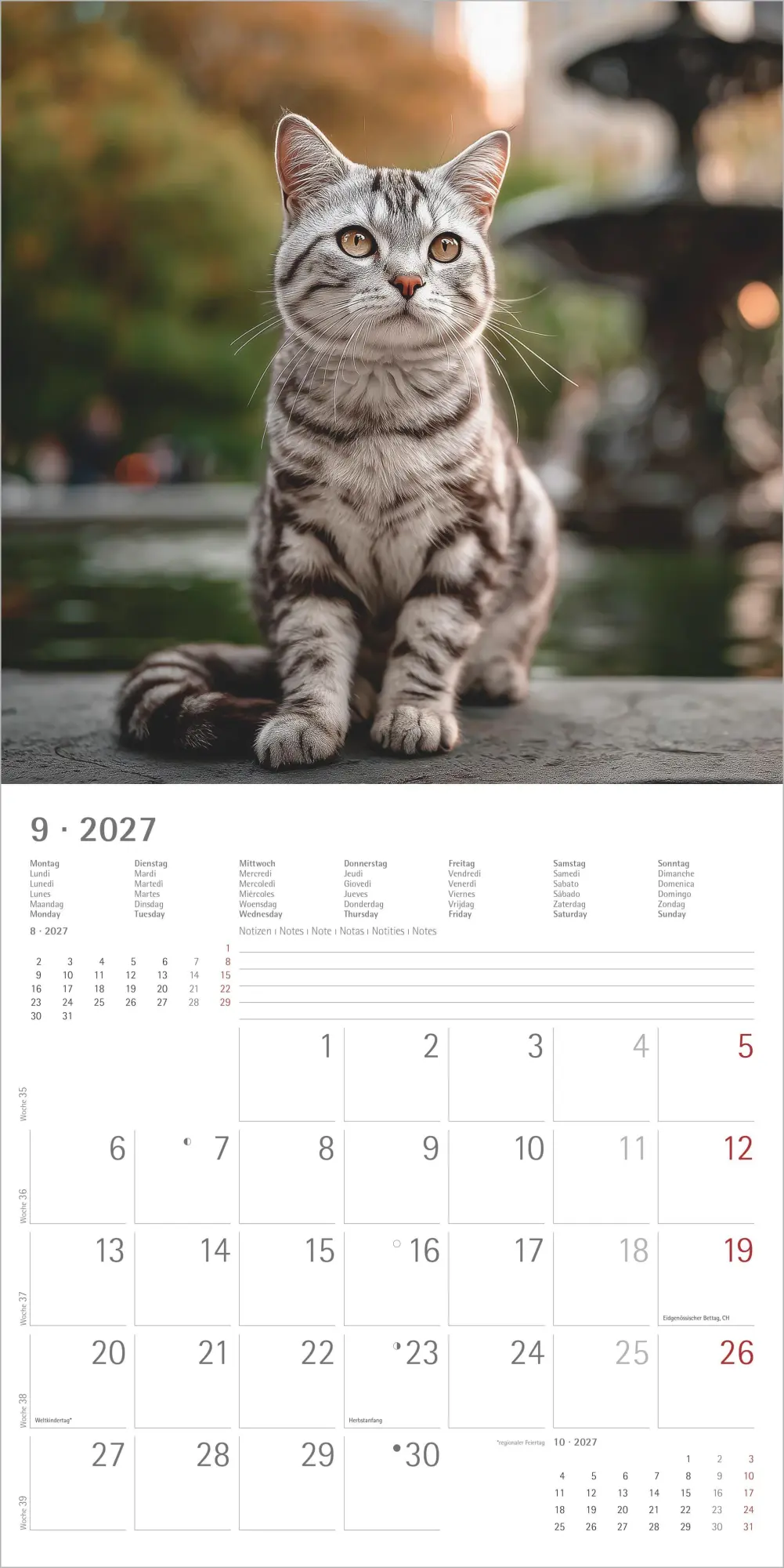 Bild: 4069095010567 | Katzen 2027 | Neumann Verlage GmbH &amp; Co KG | Kalender | 14 S. | 2027