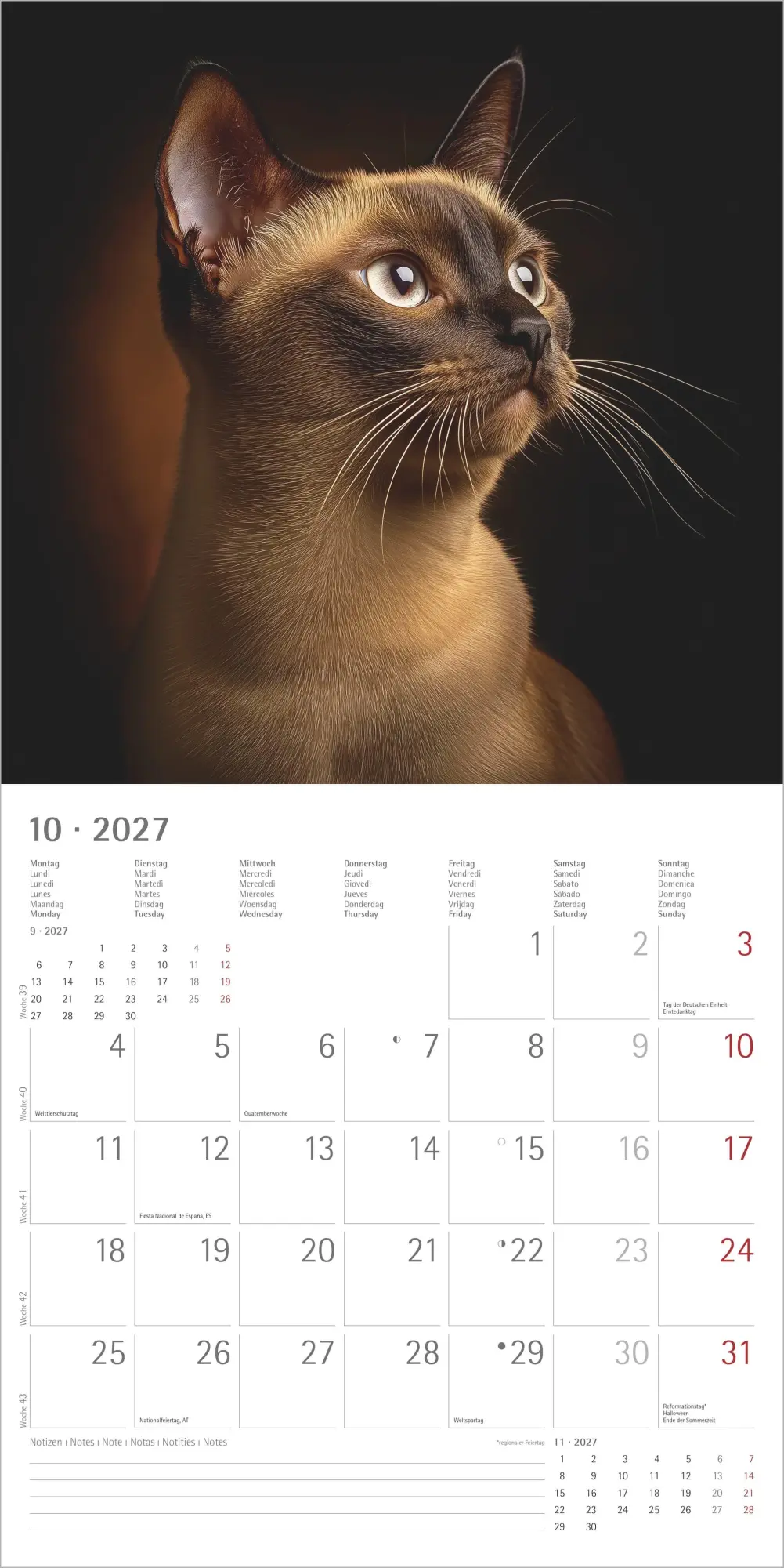 Bild: 4069095010567 | Katzen 2027 | Neumann Verlage GmbH &amp; Co KG | Kalender | 14 S. | 2027