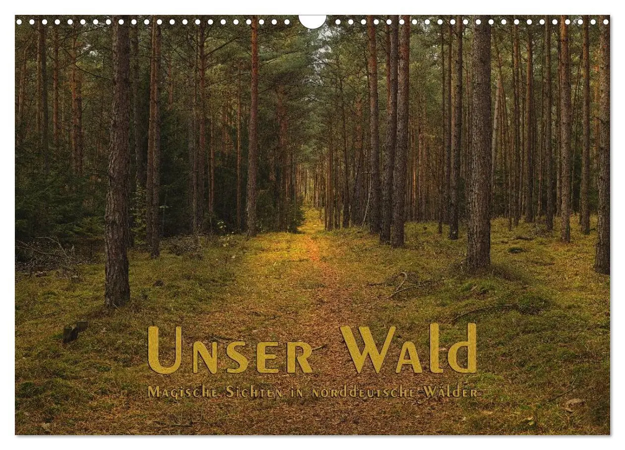 Cover: 9783516160567 | Unser Wald - Magische Sichten in norddeutsche Wälder (Wandkalender...