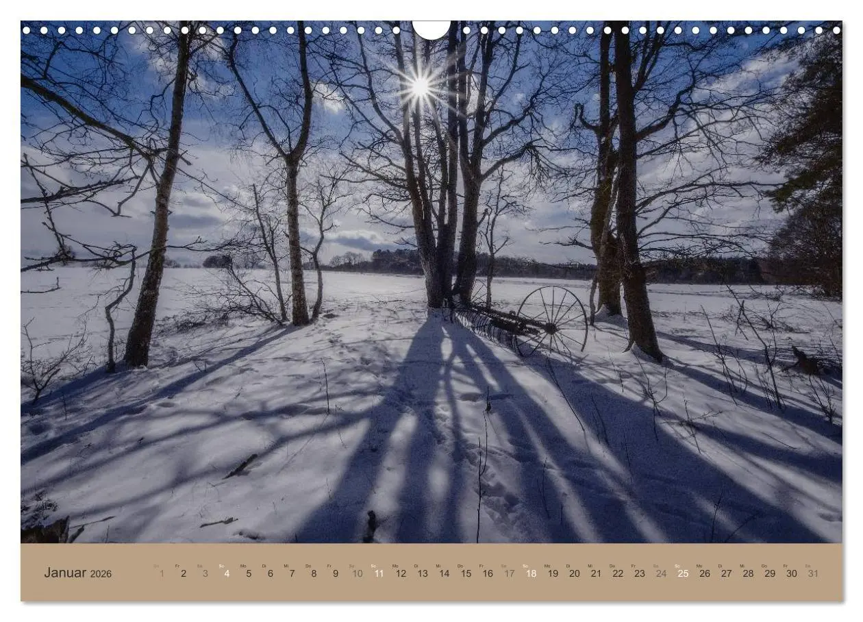 Bild: 9783516160567 | Unser Wald - Magische Sichten in norddeutsche Wälder (Wandkalender...