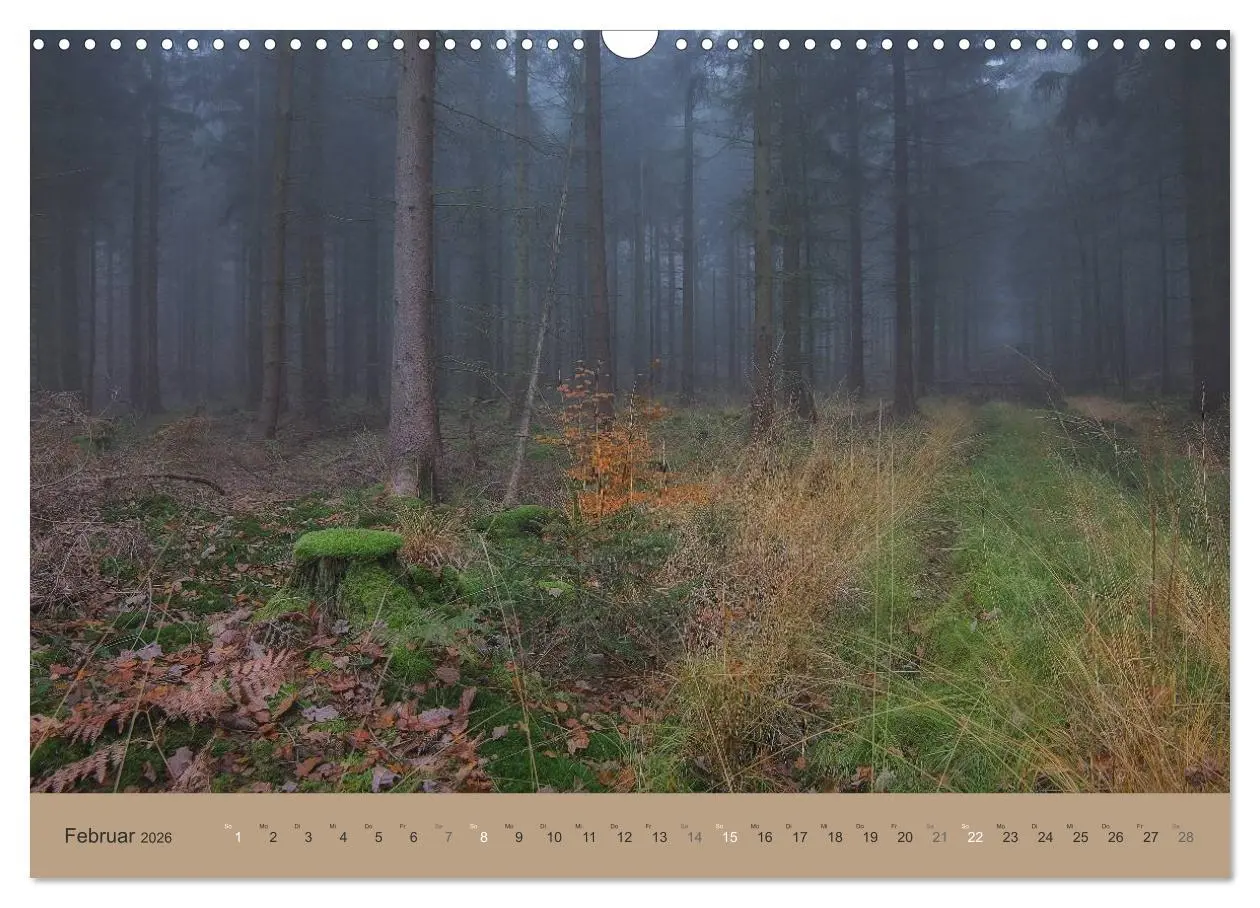 Bild: 9783516160567 | Unser Wald - Magische Sichten in norddeutsche Wälder (Wandkalender...