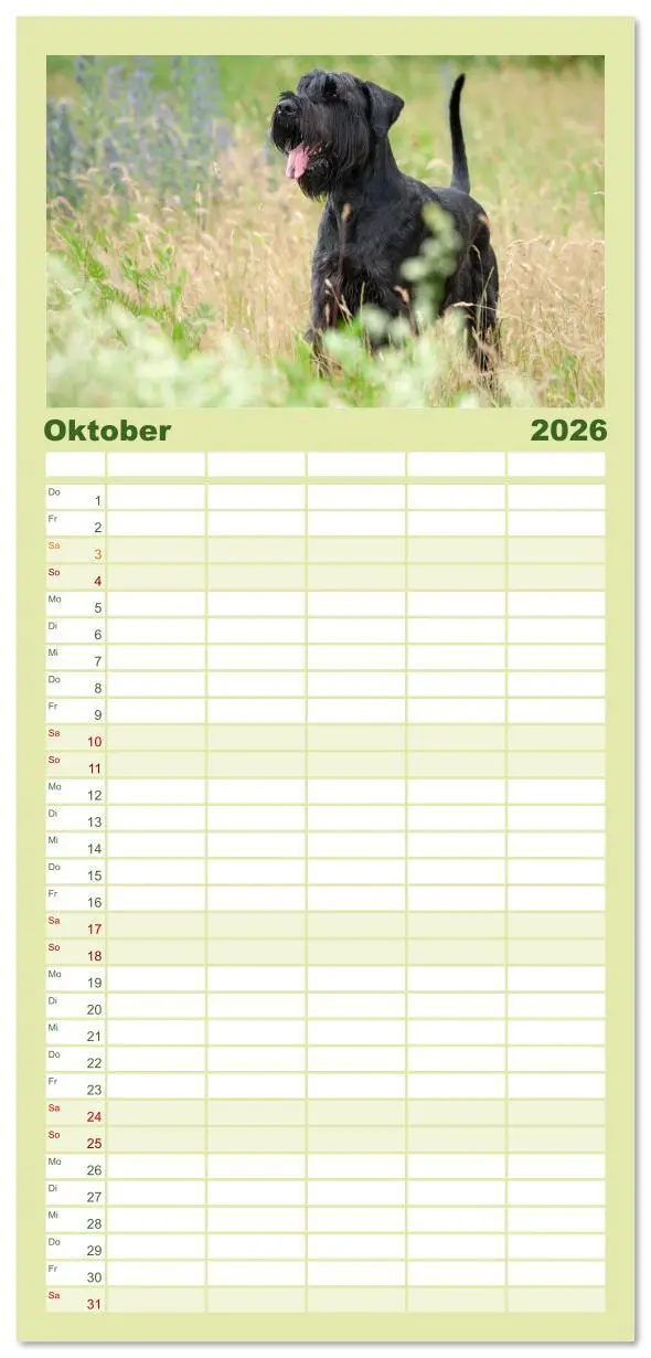 Bild: 9783516610567 | Familienplaner 2026 - Mit dem Riesenschnauzer durch das Jahr mit 5...