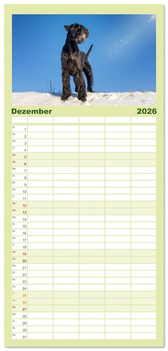 Bild: 9783516610567 | Familienplaner 2026 - Mit dem Riesenschnauzer durch das Jahr mit 5...