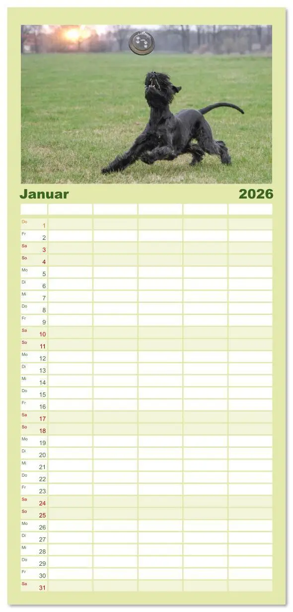Bild: 9783516610567 | Familienplaner 2026 - Mit dem Riesenschnauzer durch das Jahr mit 5...