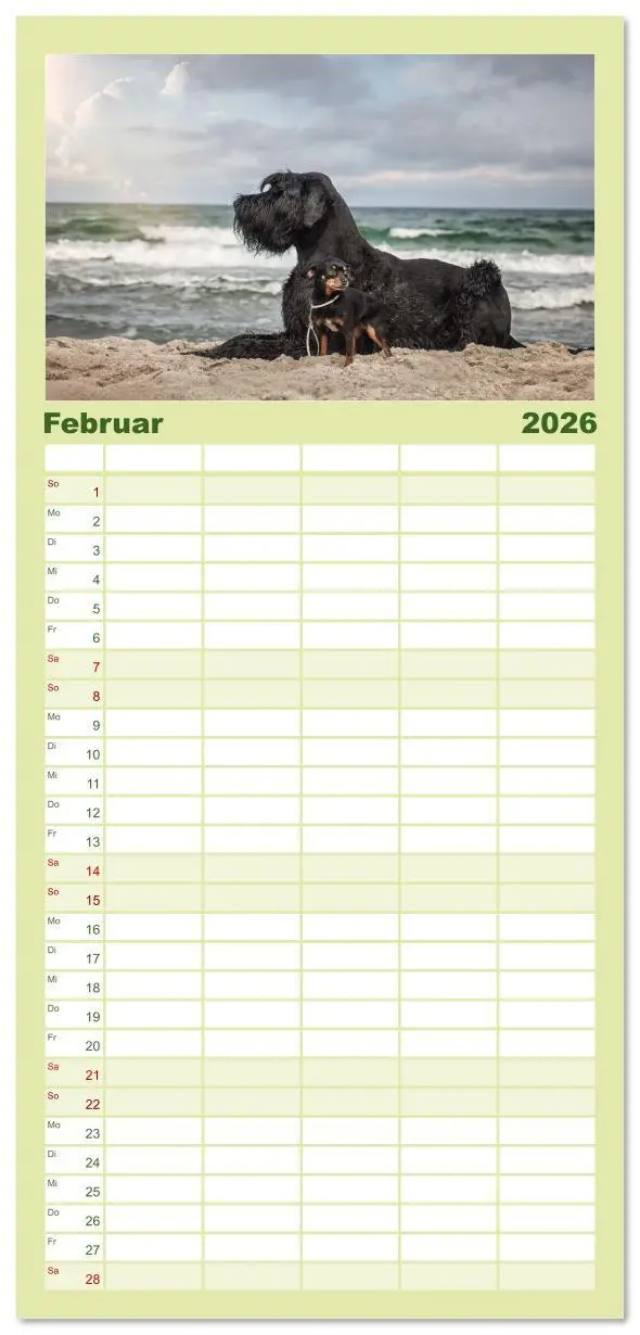 Bild: 9783516610567 | Familienplaner 2026 - Mit dem Riesenschnauzer durch das Jahr mit 5...