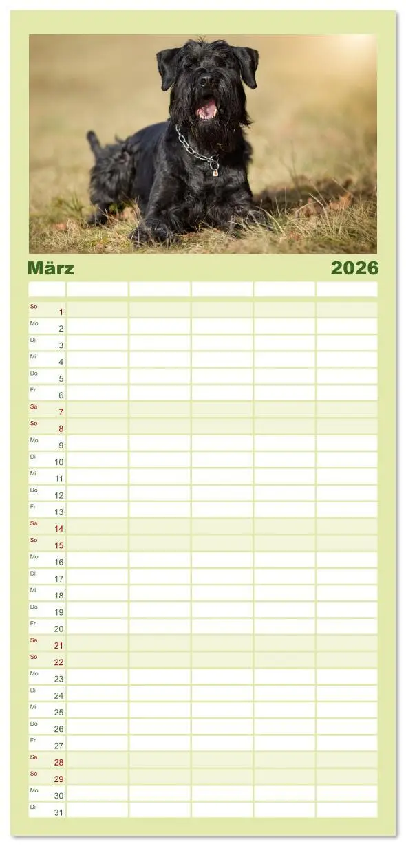 Bild: 9783516610567 | Familienplaner 2026 - Mit dem Riesenschnauzer durch das Jahr mit 5...