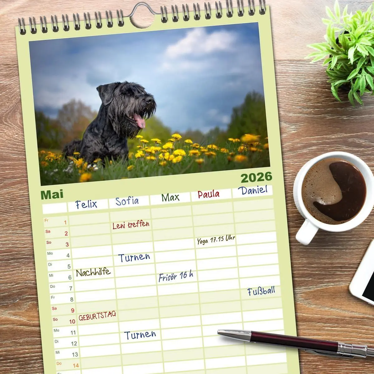 Bild: 9783516610567 | Familienplaner 2026 - Mit dem Riesenschnauzer durch das Jahr mit 5...