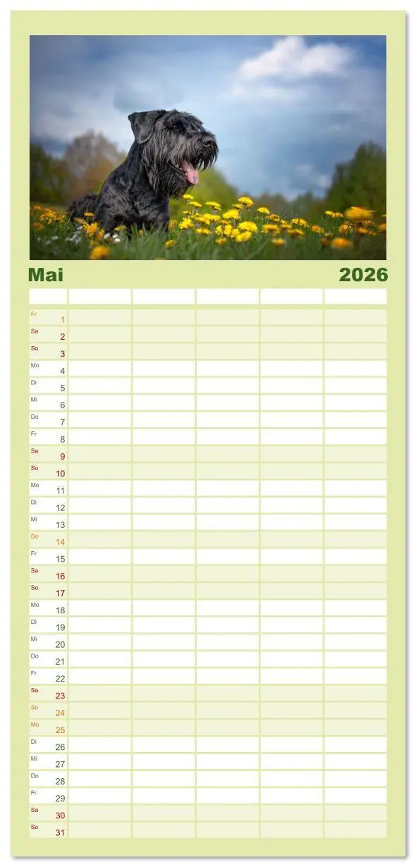 Bild: 9783516610567 | Familienplaner 2026 - Mit dem Riesenschnauzer durch das Jahr mit 5...