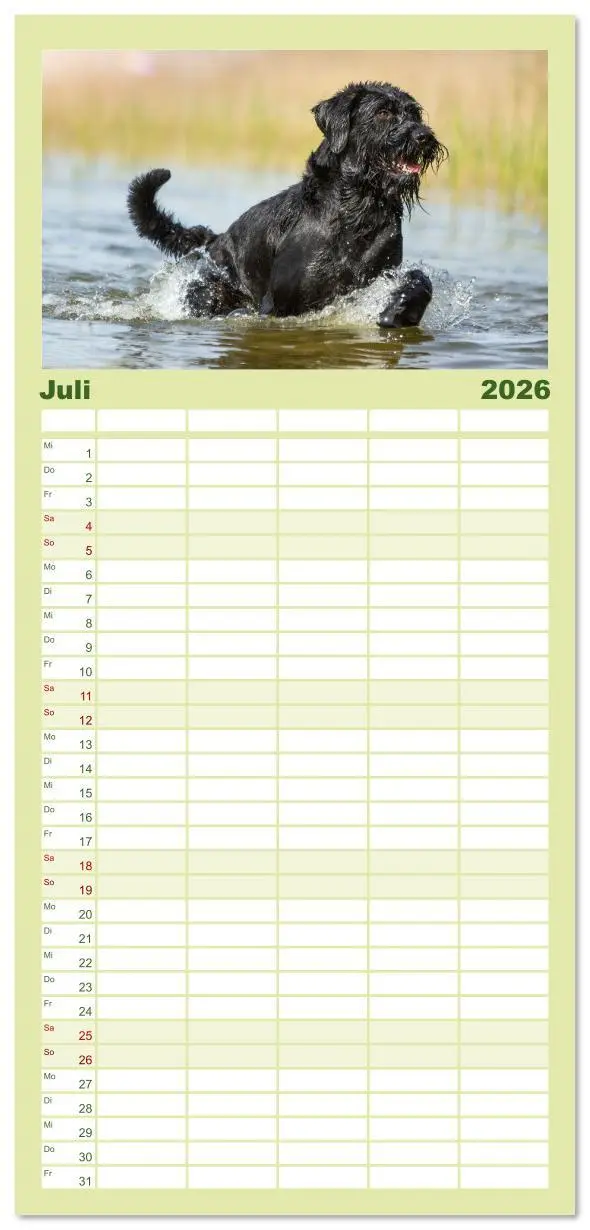 Bild: 9783516610567 | Familienplaner 2026 - Mit dem Riesenschnauzer durch das Jahr mit 5...
