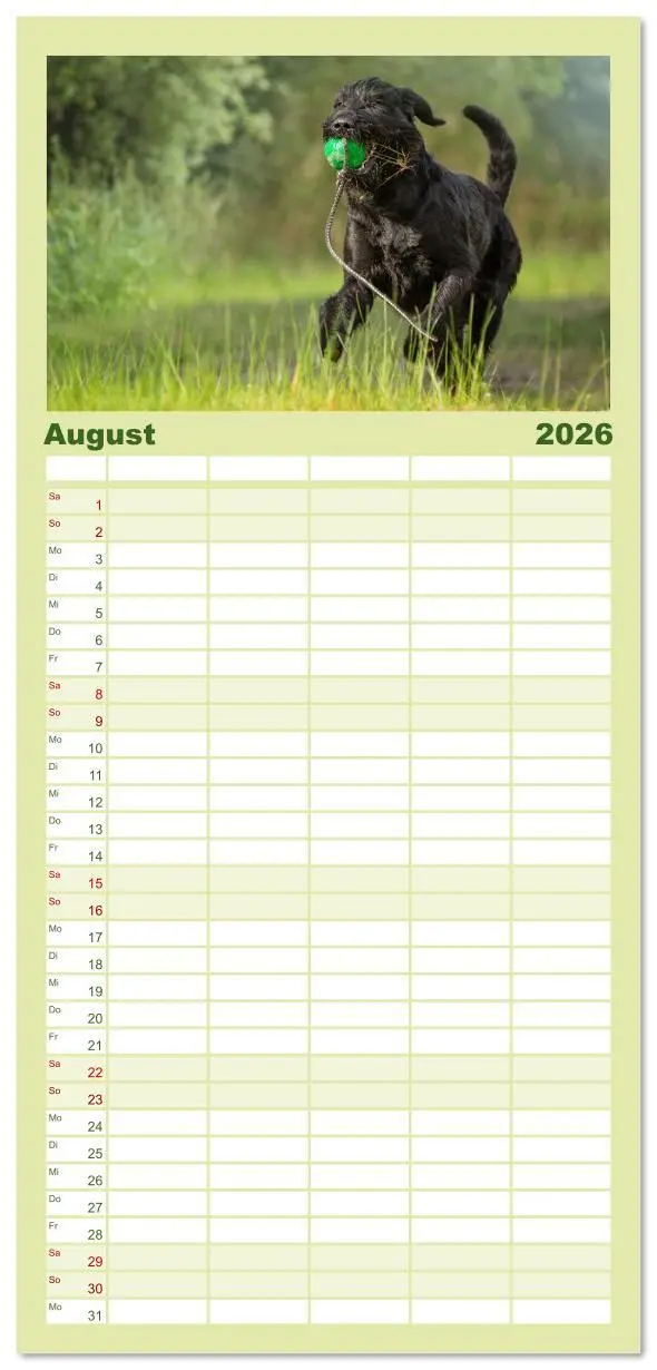 Bild: 9783516610567 | Familienplaner 2026 - Mit dem Riesenschnauzer durch das Jahr mit 5...