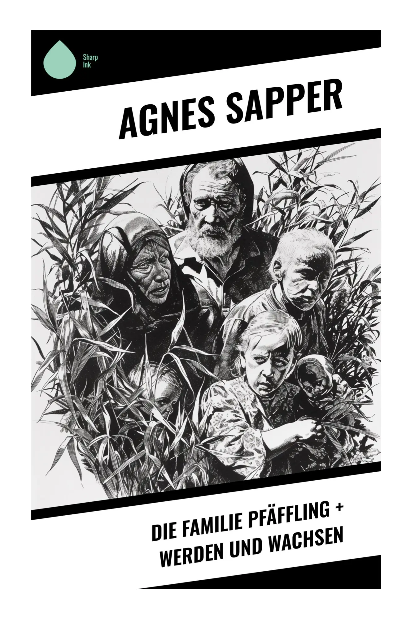 Cover: 9788028350567 | Die Familie Pfäffling + Werden und Wachsen | Agnes Sapper | Buch