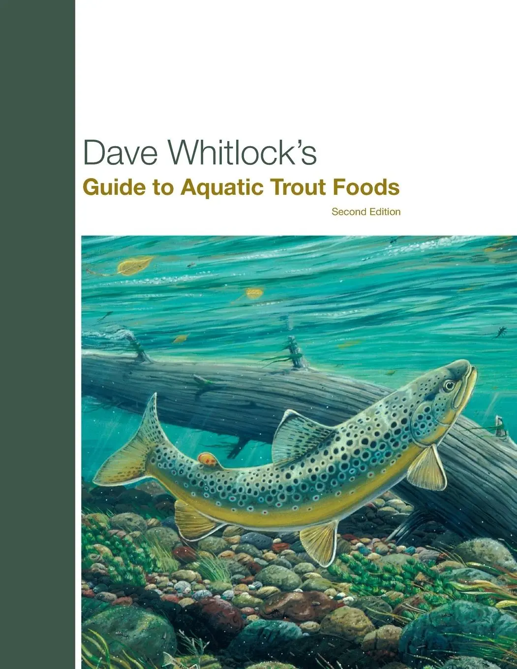 Cover: 9781599210667 | Dave Whitlock's Guide to Aquatic Trout Foods | Dave Whitlock | Buch