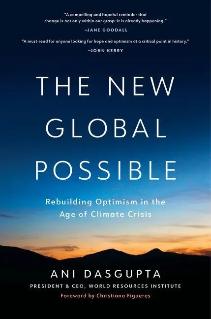 Cover: 9781633310667 | The New Global Possible | Ani Dasgupta | Buch | Gebunden | Englisch
