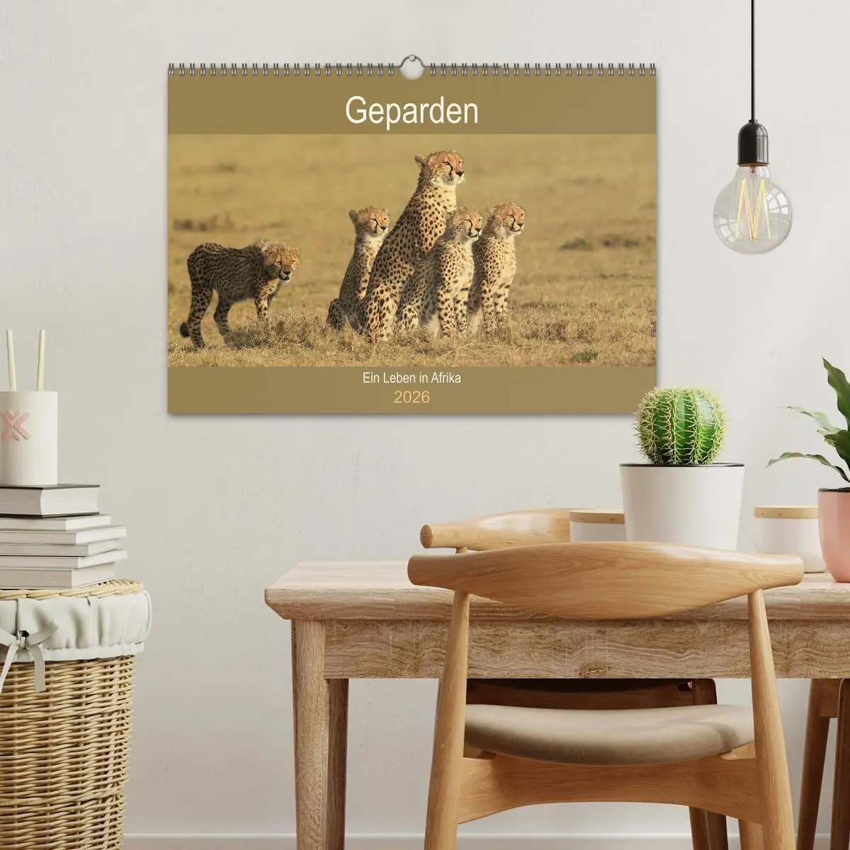 Bild: 9783457990667 | Geparden - Ein Leben in Afrika (Wandkalender 2026 DIN A3 quer),...