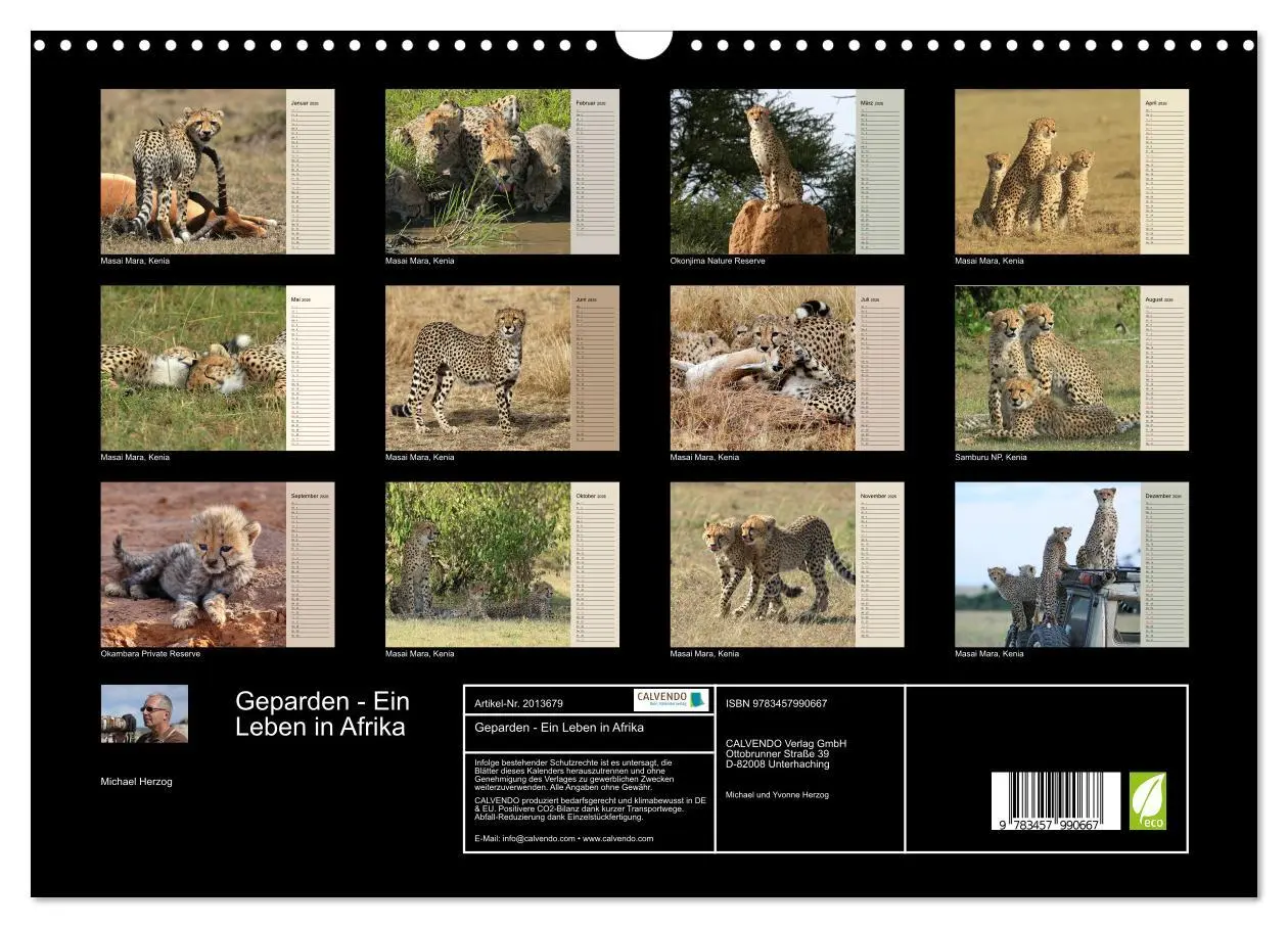 Bild: 9783457990667 | Geparden - Ein Leben in Afrika (Wandkalender 2026 DIN A3 quer),...