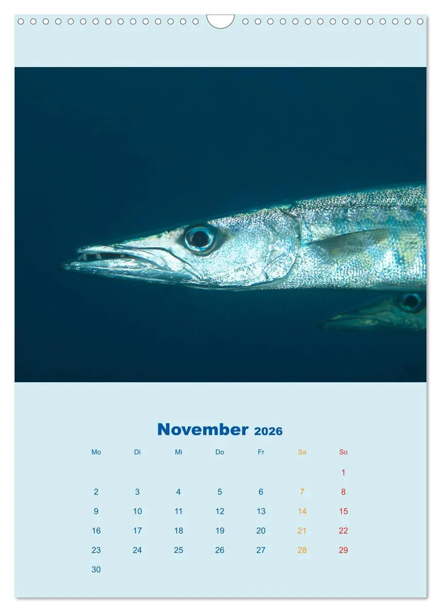 Bild: 9783516390667 | Portraitaufnahmen - Fische (Wandkalender 2026 DIN A3 hoch),...