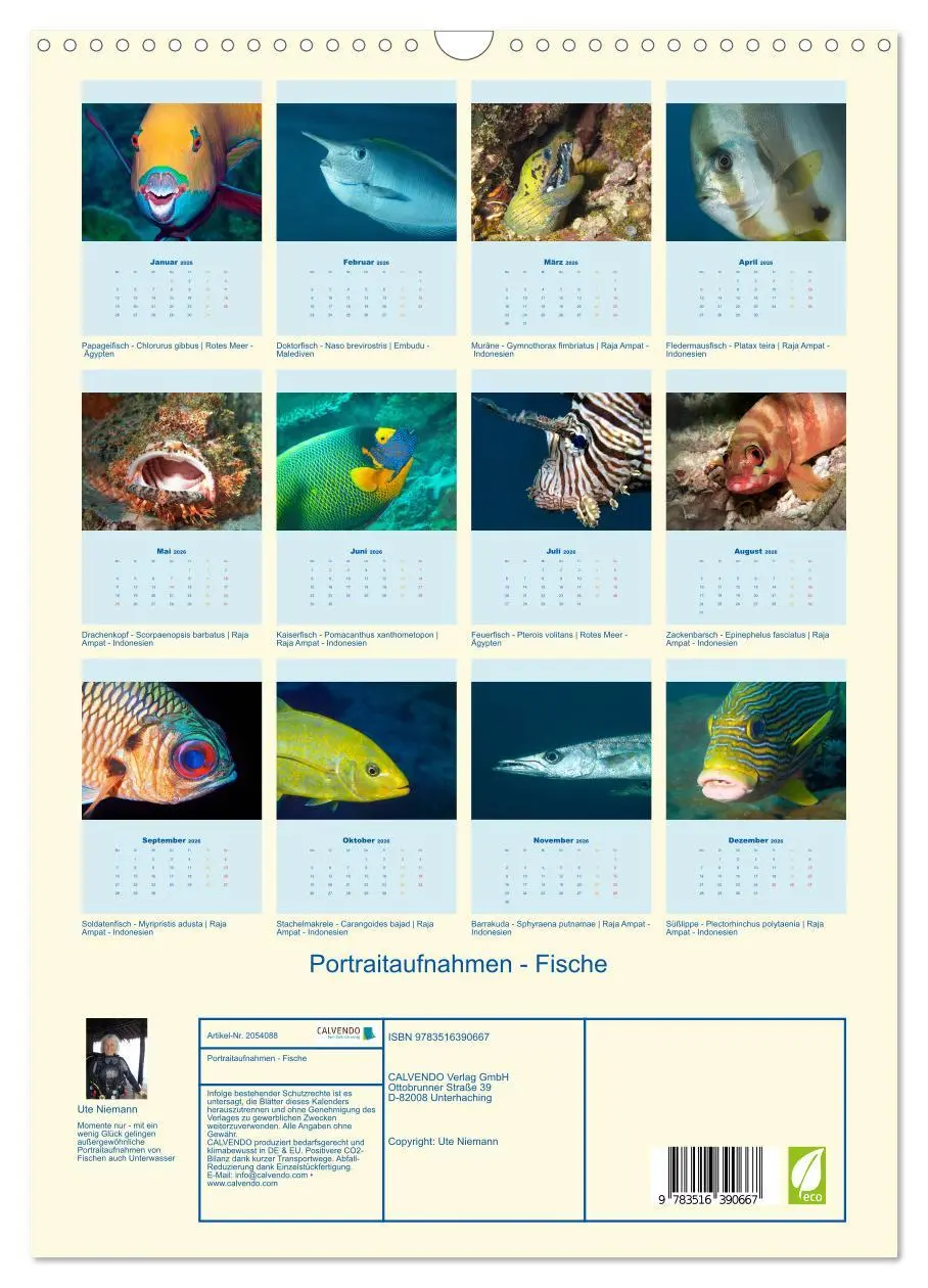 Bild: 9783516390667 | Portraitaufnahmen - Fische (Wandkalender 2026 DIN A3 hoch),...