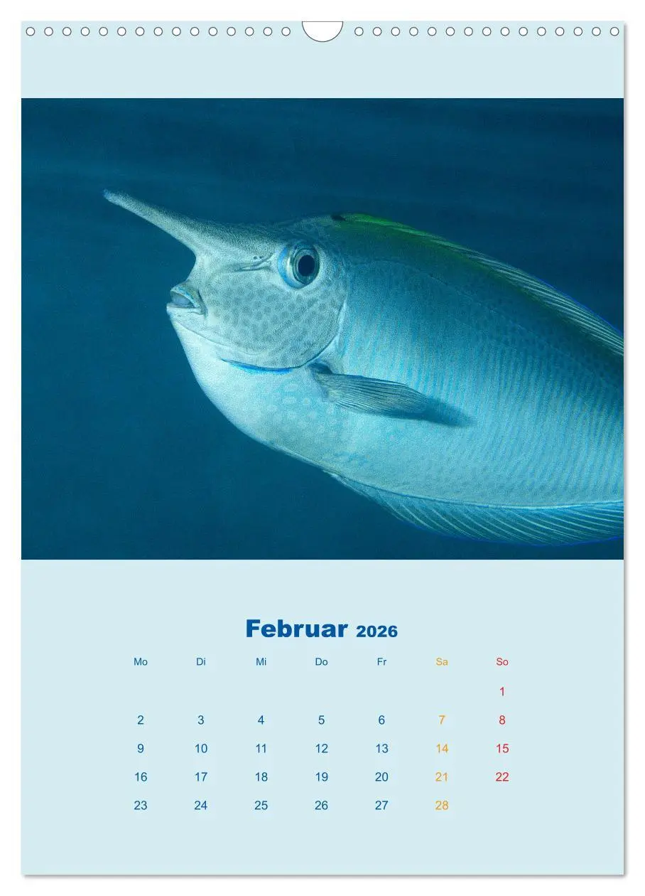 Bild: 9783516390667 | Portraitaufnahmen - Fische (Wandkalender 2026 DIN A3 hoch),...