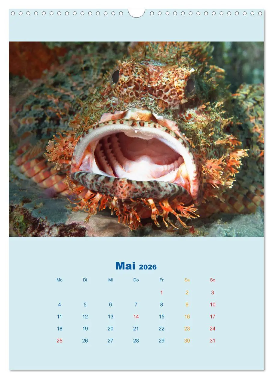 Bild: 9783516390667 | Portraitaufnahmen - Fische (Wandkalender 2026 DIN A3 hoch),...