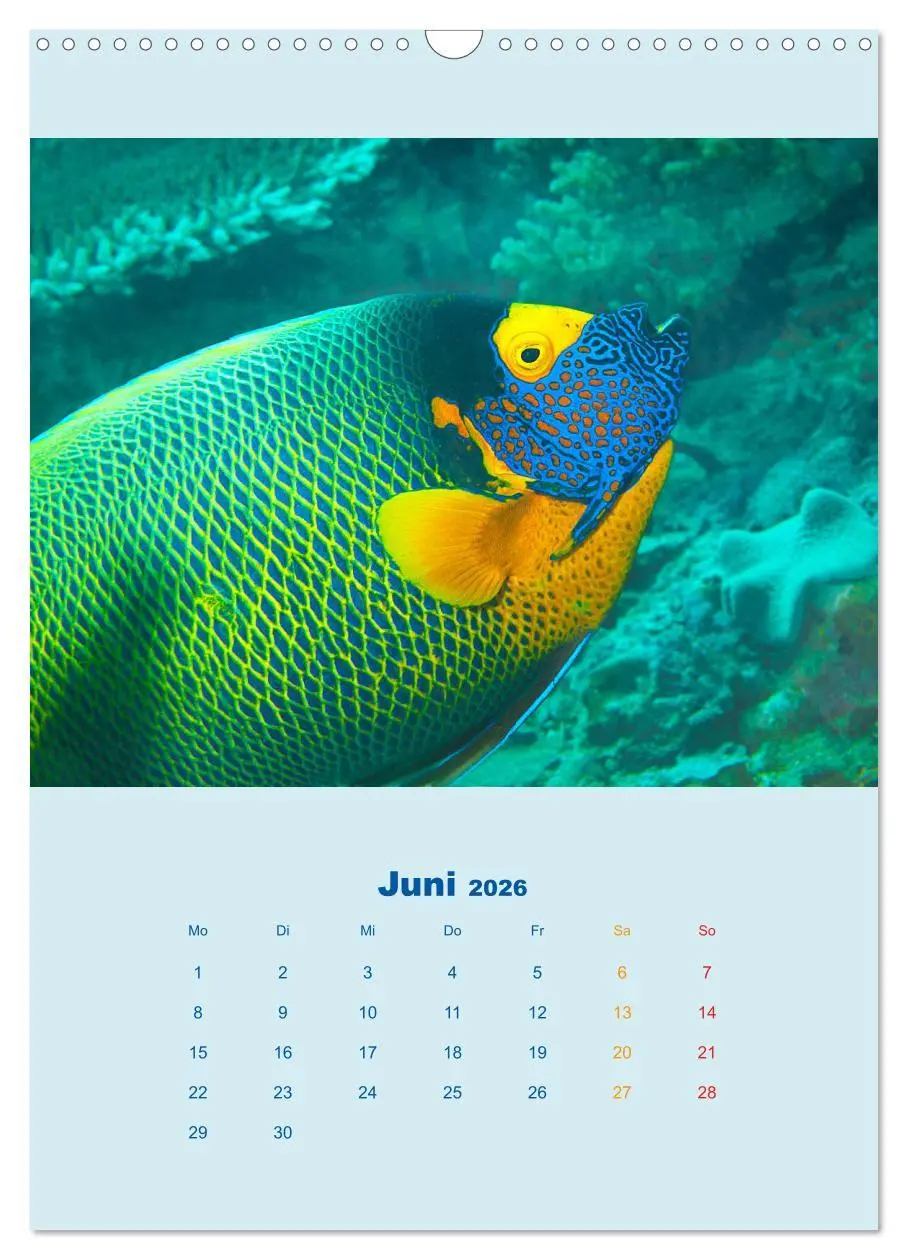 Bild: 9783516390667 | Portraitaufnahmen - Fische (Wandkalender 2026 DIN A3 hoch),...