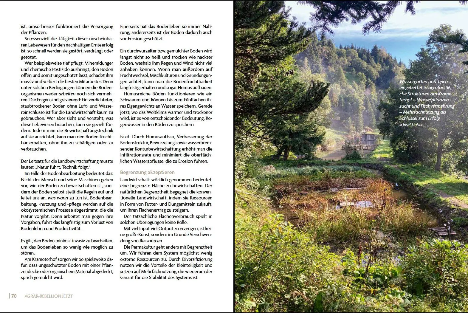Bild: 9783702020767 | Agrar-Rebellion Jetzt | Sepp Holzer (u. a.) | Buch | 192 S. | Deutsch