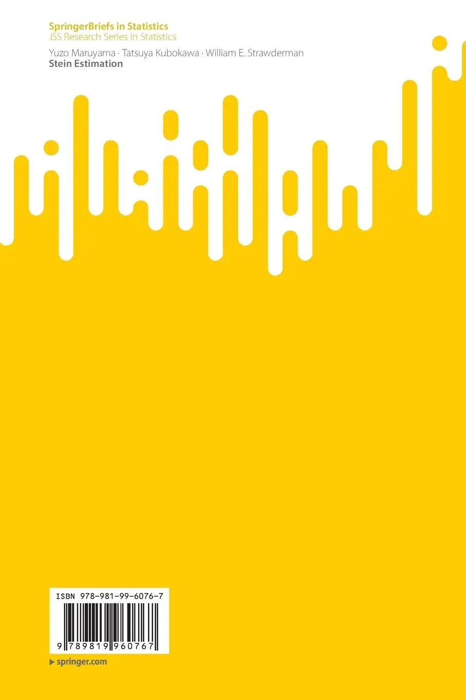 Rückseite: 9789819960767 | Stein Estimation | Yuzo Maruyama (u. a.) | Taschenbuch | viii | 2023
